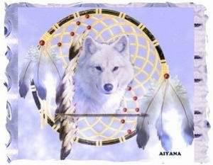 il est trops beau même ci c'est un loup